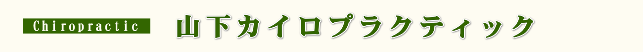 山下カイロプラクティック